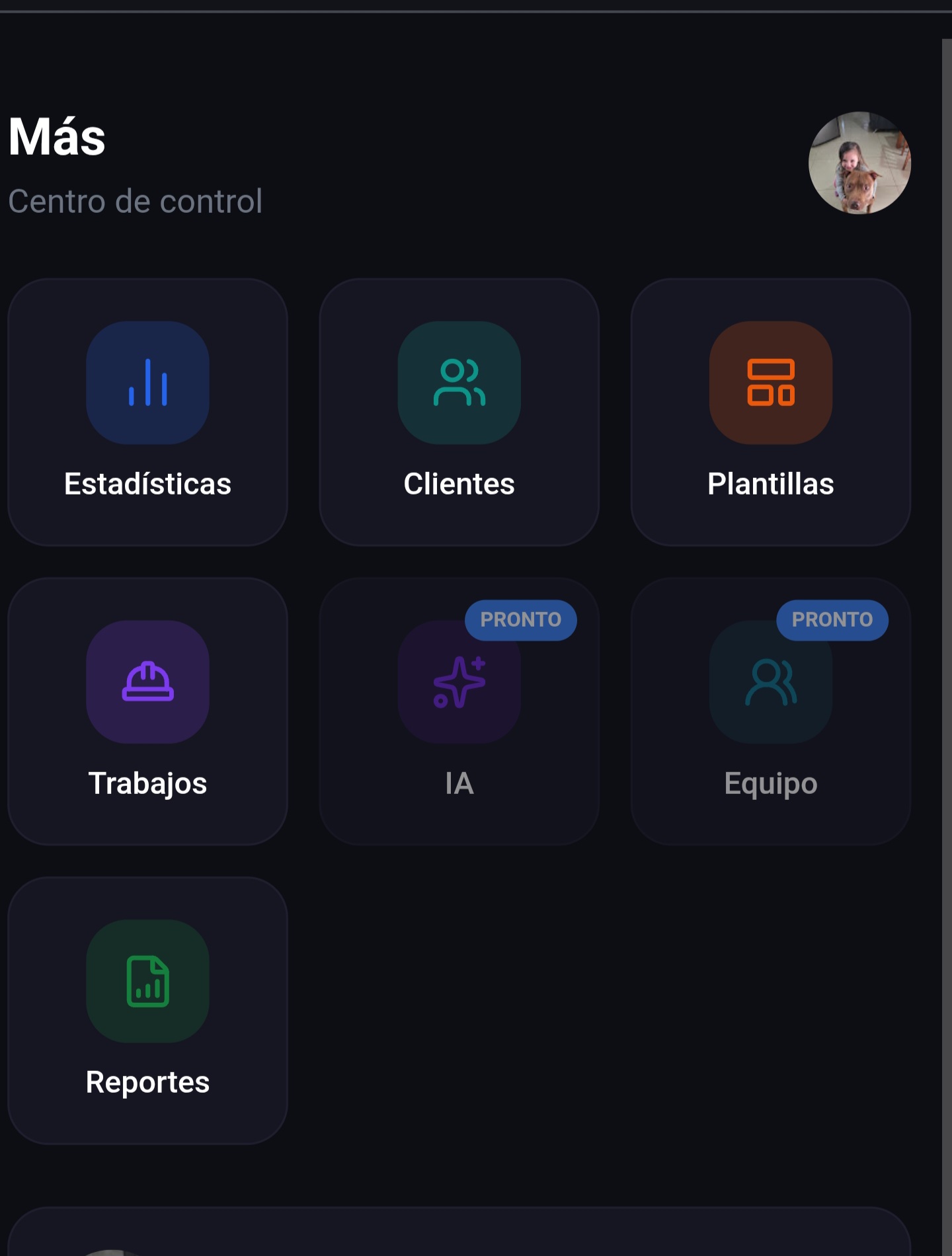App Presupuesto pantalla 5